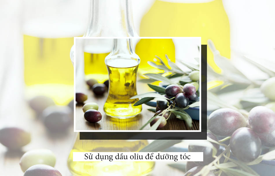 Sử dụng dầu oliu để dưỡng tóc