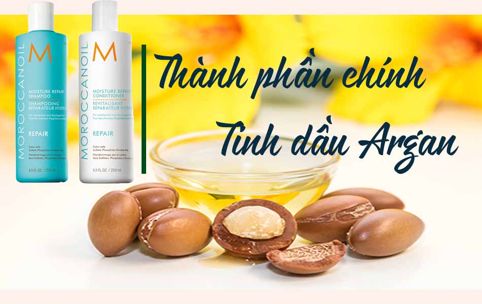 Thành phần chính dầu Argan