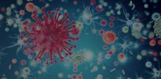 Virus HIV sống được bao lâu khi ở ngoài cơ thể?
