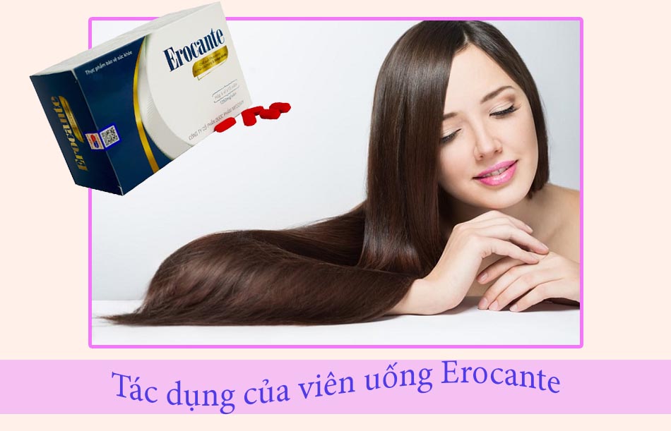 Tác dụng của viên uống Erocante