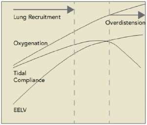 Hình 1. Khi PEEP tăng, việc huy động được phản ánh trong sự gia tăng của EELV, oxy hóa và độ giãn nở khí lưu thông. Trong khi quá căng phế nang gây ra sự độ giãn nở suy giảm, EELV và (với hiếm ngoại lệ) oxy hóa tiếp tục tăng và do đó nó chỉ số tương đối không nhạy cảm của sự thay đổi đó.