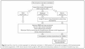 Simple flow chart for a holistic approach to mechanical ventilation in ARDS patients. CT computed tomography, ECMO extracorporeal membrane oxygenation, NMBA neuromuscular blocking agents, PEEP positive end-expiratory pressure, VILI ventilation-induced lung injury