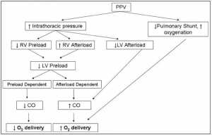 Hình 2 Tác dụng tim phổi của thông khí áp lực dương xâm lấn (PPV). CO, cung lượng tim; LV, tâm thất trái; RV, tâm thất phải.