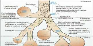 Thông khí rung tần số cao ở trẻ em