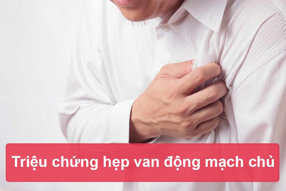 Biểu hiện lâm sàng của hẹp van động mạch chủ