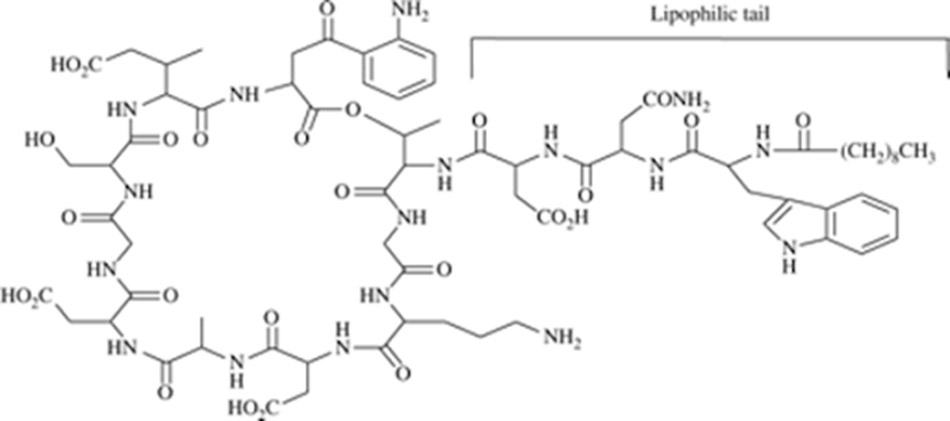 Ảnh. Cấu trúc hóa học của Daptomycin.