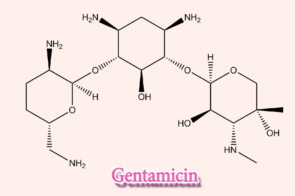 Gentamicin