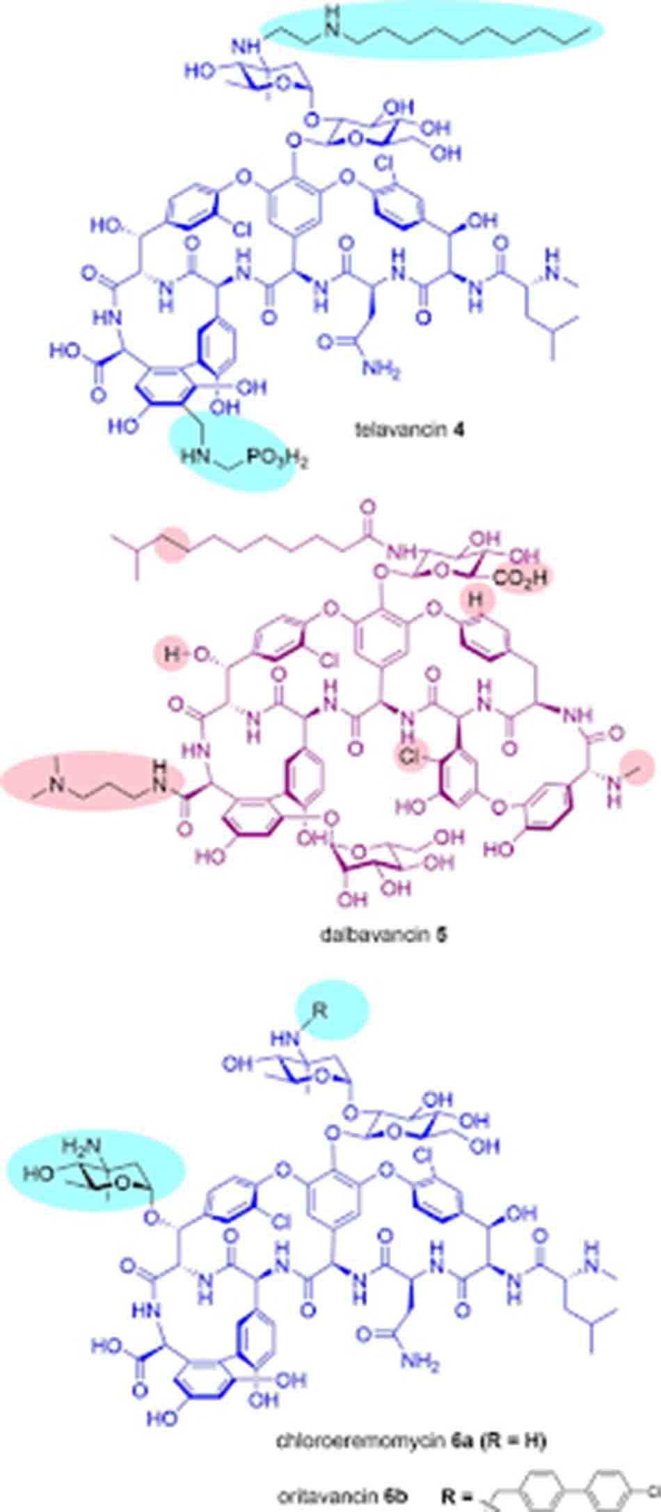 Cấu trúc hóa học của các Glycopeptide bán tổng hợp.