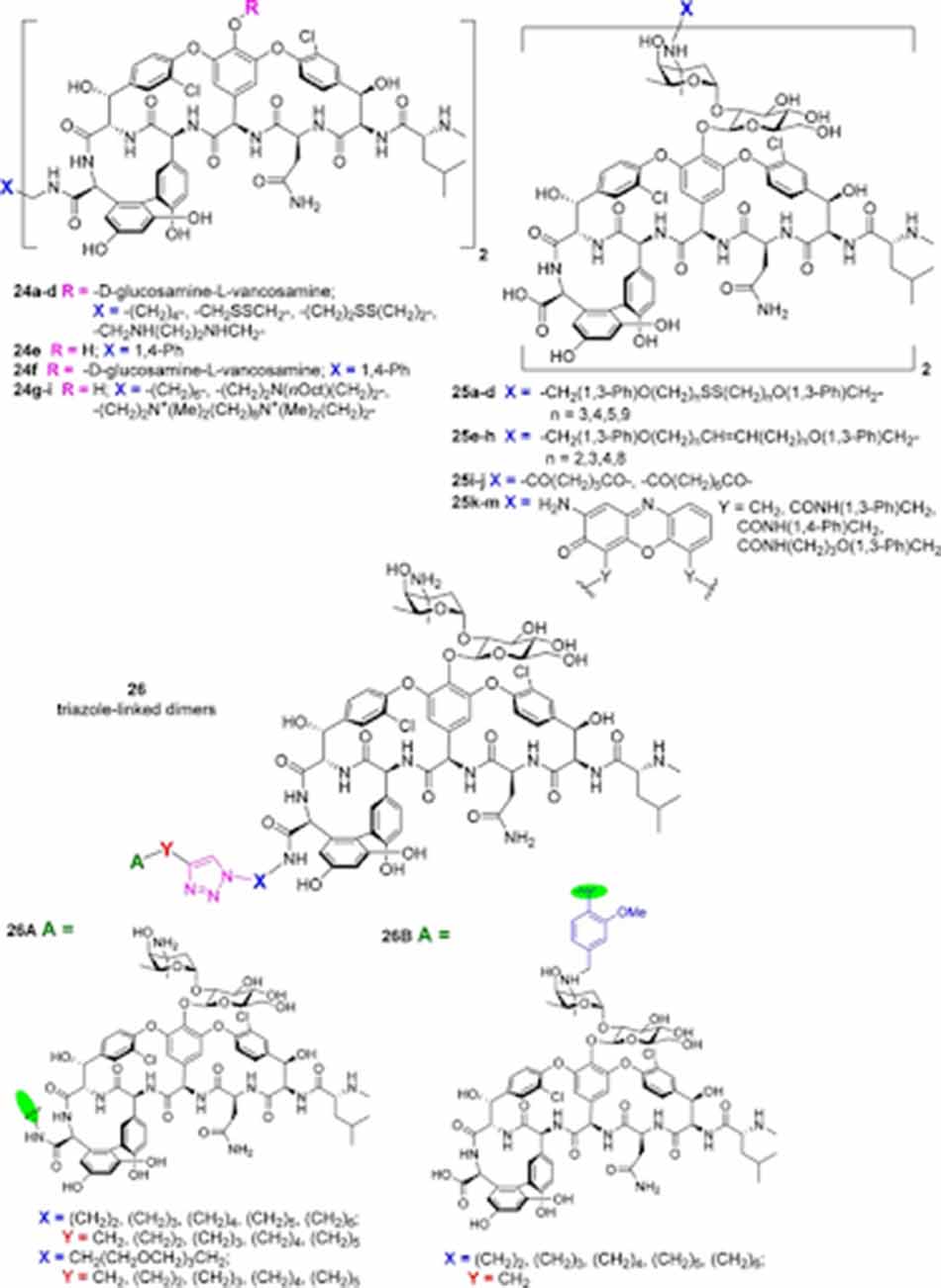 Các Glycopeptide dimer