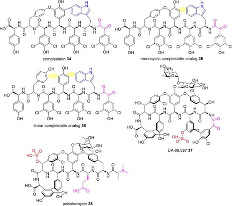 Các Glycopeptide được sinh tổng hợp mới