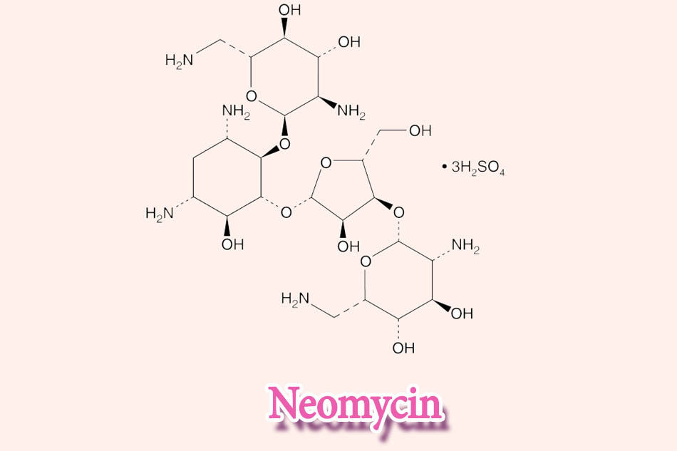 Neomycin