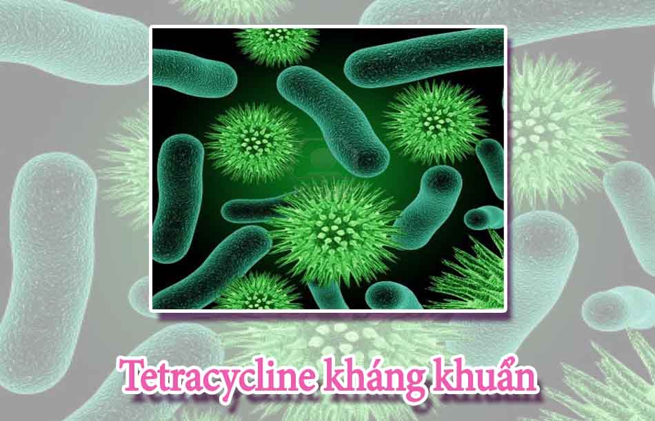 Tetracycline có tác dụng trên nhiều chủng khác nhau