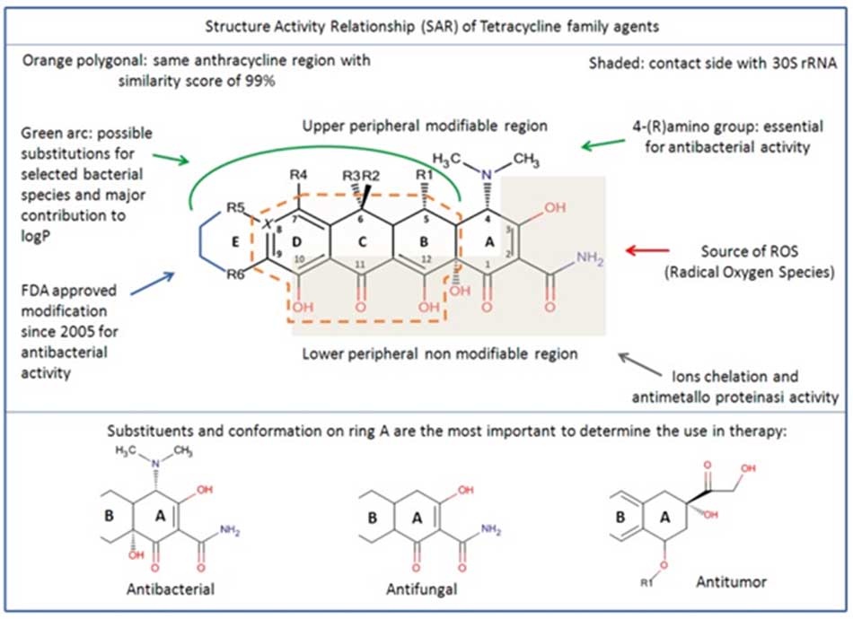 Cấu trúc hóa học tổng quát của các Tetracycline cũng như liên quan cấu trúc – tác dụng (SAR: Structure – Activity Relationship)