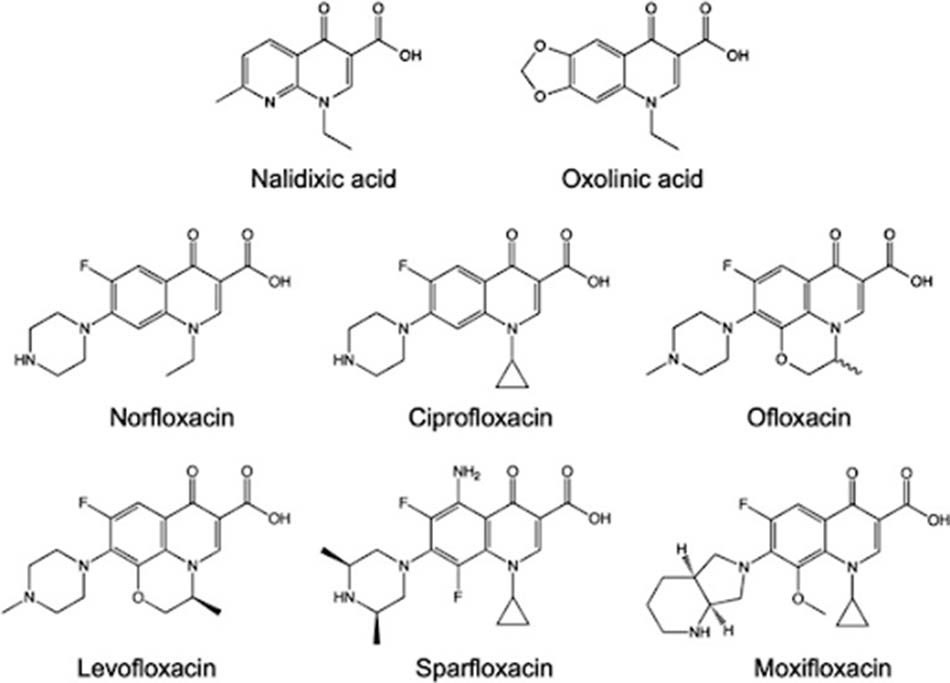 Cấu trúc hóa học của một số kháng sinh nhóm Quinolone