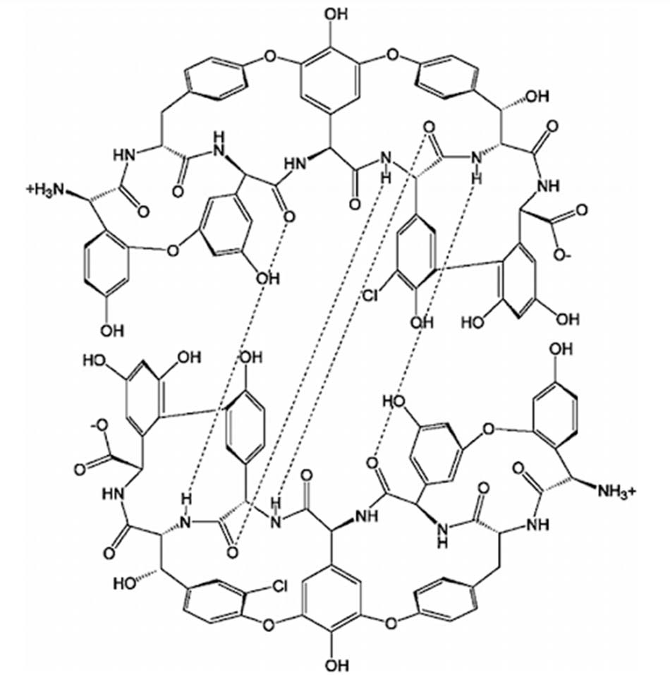 Biểu diễn dạng dimer hóa của lõi heptapeptide của Teicoplanin thông qua 4 liên kết hydro