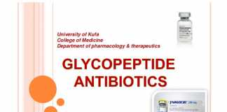 Kháng sinh nhóm Glycopeptide