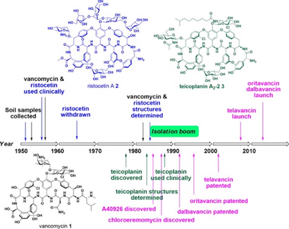 Ảnh: Lịch sử phát triển các kháng sinh nhóm Glycopeptide.