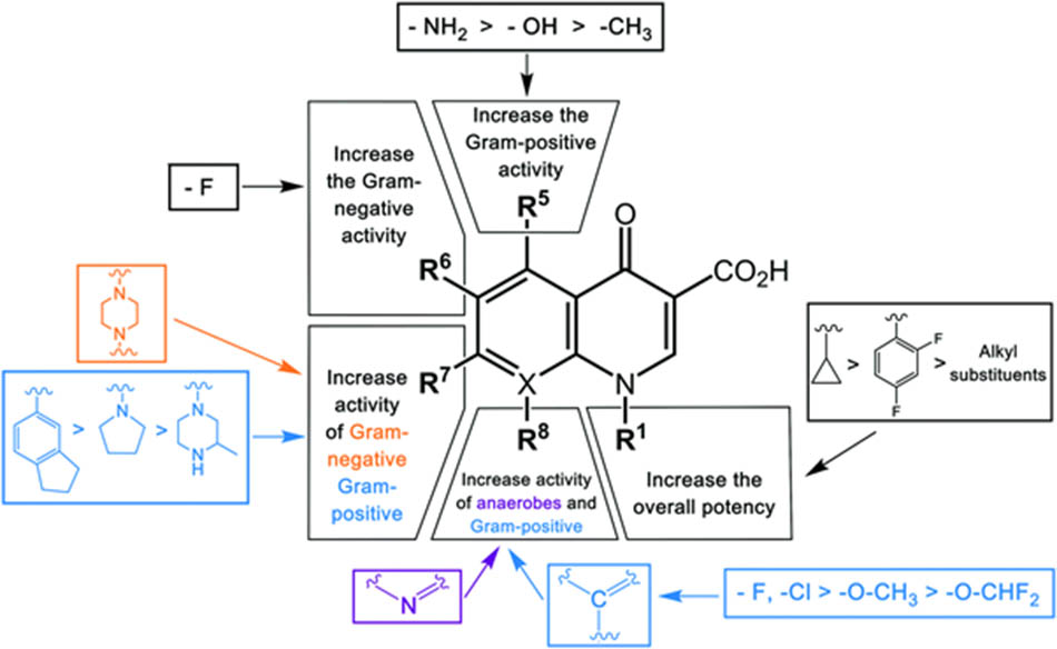 Cấu trúc hóa học tổng quát của các kháng sinh nhóm Quinolone cùng liên quan cấu trúc – tác dụng (SAR: Structure – Activity Relationship)