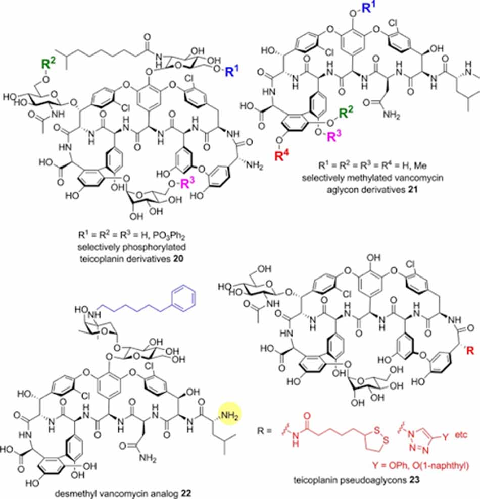 Những thay đổi ở nhóm hydroxy hoặc đầu N của Vancomycin hoặc Teicoplanin