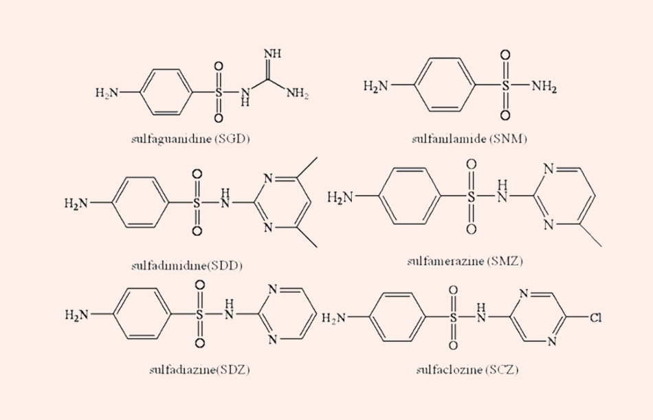 Cấu trúc hóa học của một số Sulfamide