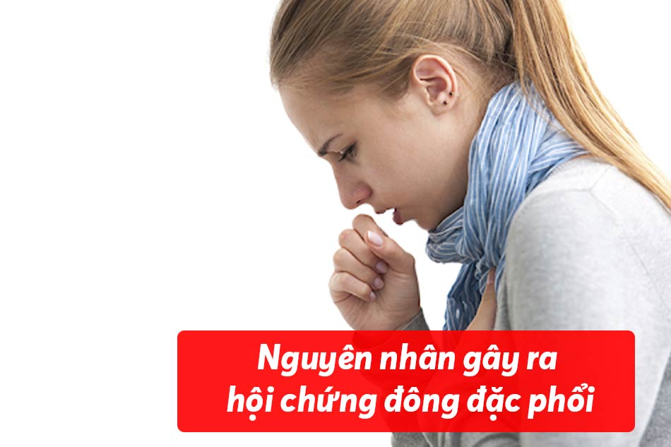 Nguyên nhân của hội chứng đông đặc phổi