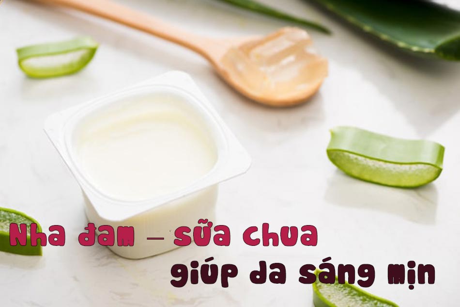 Kết hợp nha đam – sữa chua cho da sáng mịn