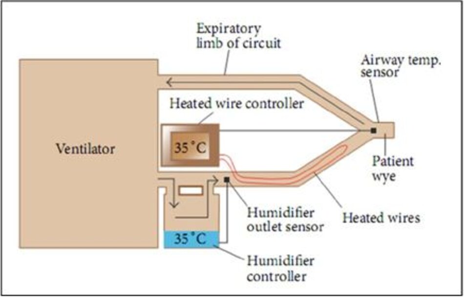 Hình 2: Máy tạo độ ẩm và ấm có dây nóng ở nhánh hít vào, được điều chỉnh từ các nguyên tắc cơ bản về chăm sóc hô hấp của Egan’s Fundamentals of Respiratory Care, 10th edition, St. Louis:Mosby-Elsevier; 2012: 1424 [17]