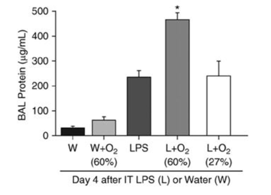 Hình 1.Proteinbronchoalveolar (BAL) được đo bằng dung dịch rửa trôi vào ngày thứ 4 sau khi bơm qua nội khí quản LPS hoặc nước (W), 12 giờ sau khi tiếp xúc với không khí trong phòng hoặc oxy (27 hoặc 60%) (n = 5-8 trong mỗi nhóm) , * P <0,05 so với tất cả các nhóm khác). Chuyển thể từ Tài liệu tham khảo 3.