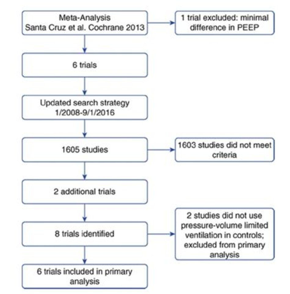 Hình 1. Sơ đồ các nghiên cứu được đưa vào. PEEP = positive end-expiratory pressure.
