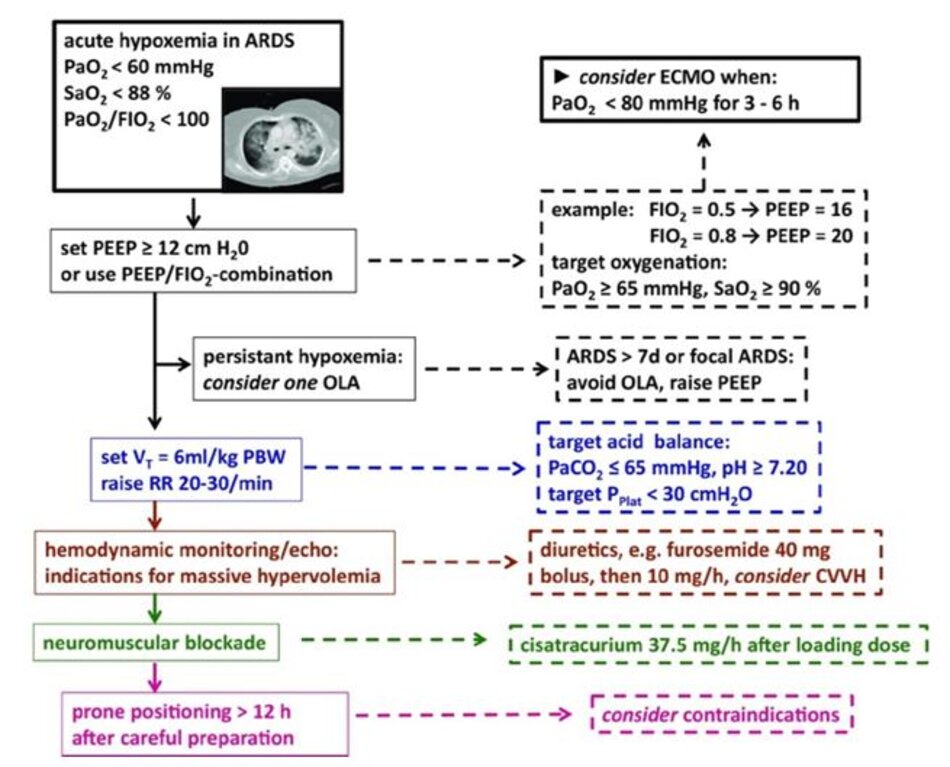 Hình 1 Một “thời gian biểu” cho việc quản lý cấp tính của tình trạng thiếu oxy trong bệnh nhân ARDS. Trình tự các biện pháp quan trọng trong giai đoạn thiếu oxy (sớm) được đưa ra.