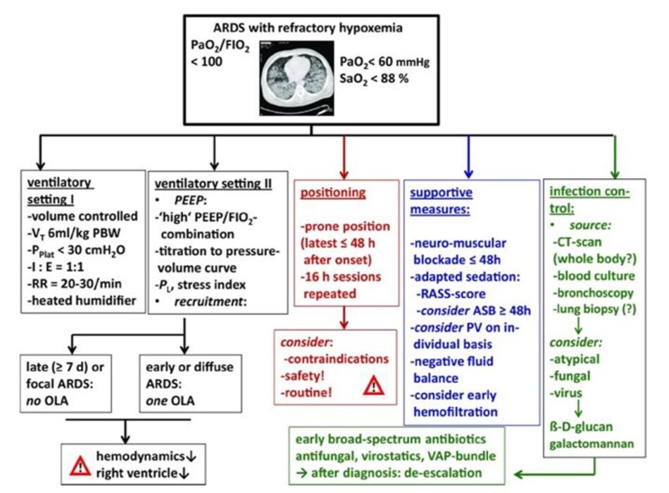 Hình 2. Thuật toán cho các liệu pháp cứu hộ ở bệnh nhân ARDS bị thiếu oxy máu kháng trị. Tổng quan về các chiến lược điều trị quan trọng trong việc xử trí ARDS thiếu oxy máu (sớm).