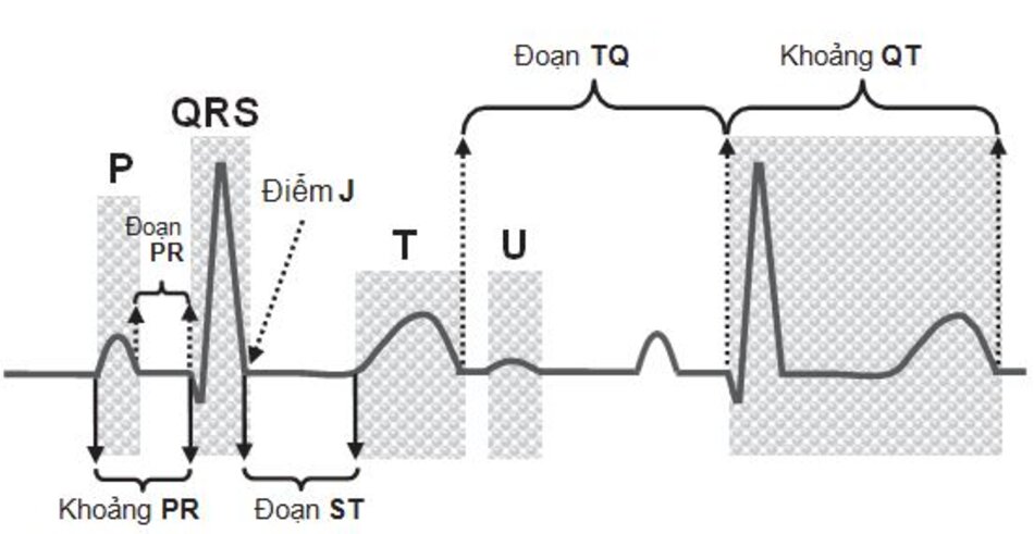 Hình 2.11: Tóm tắt các sóng, khoảng và đoạn trong ECG.