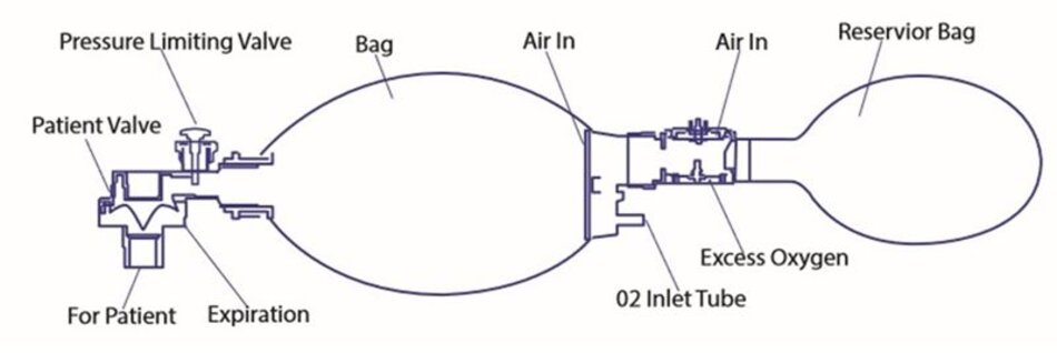 cấu tạo của bóng-mask và các thành phần của nó.