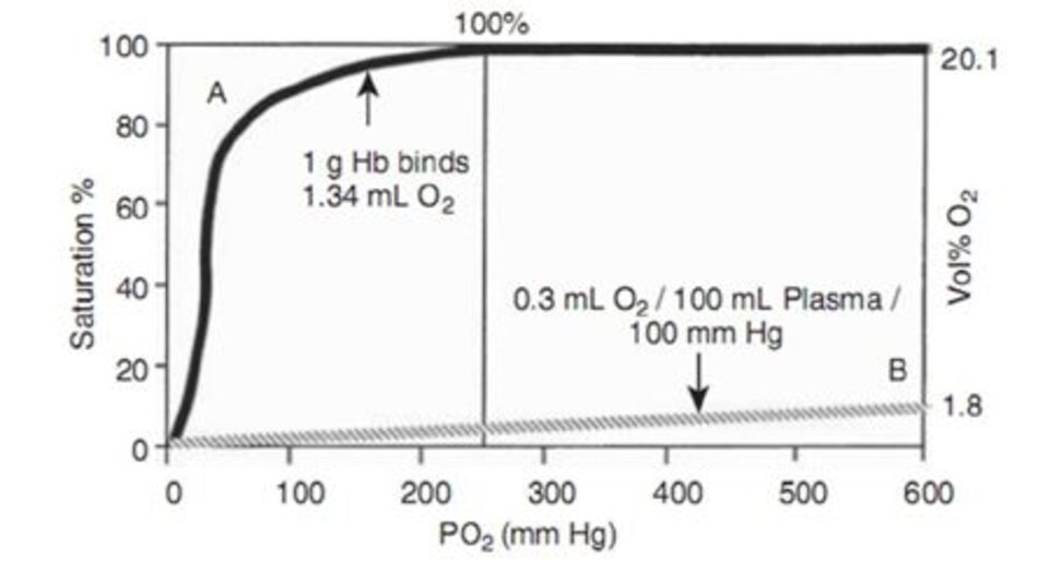 Hình 10-1 So sánh giữa đường cong phân ly của hemoglobin (đường cong A) và lượng oxy hòa tan trong huyết tương (đường cong B). Lưu ý rằng hemoglobin gần như được bão hòa 100% ở PO2 80 mm Hg. Khi bão hòa hoàn toàn, 15 g Hb sẽliên kết với 20.1 mL O 2. (From Duc G. Assessment of hypoxia in the newborn. Pediatrics. 1971;48:469.)