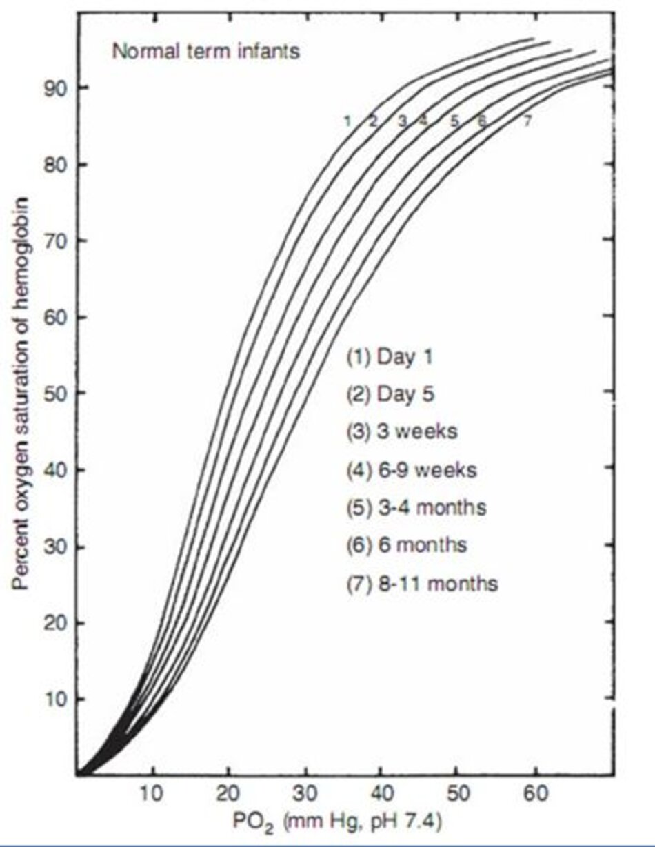 Hình 10-2 Đường cong phân ly oxyhemoglobine từ trẻ đủ tháng ở các độ tuổi khác nhau sau khi sinh. (From Delivoria-Popadopoulos M, Roncevic NP, Oski FA. Postnatal changes in oxygen transport of term, premature and sick infants. Ped Res. 1971;5:235.)
