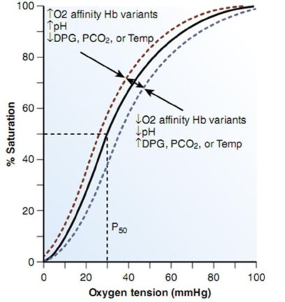 Hình 10-3 Đường cong phân ly oxy của Hemoglobin. Độ bão hòa phần trăm của hemoglobin với oxy ở các mức oxy khác nhau được mô tả bởi các đường cong dạng xích ma. P50, được chỉ định bởi các đường đứt nét, khoảng 27 mm Hg trong hồng cầu bình thường. Sự thay đổi chức năng hemoglobin làm tăng ái lực oxy thay đổi đường cong sang trái, trong khi những thay đổi làm giảm ái lực oxy chuyển đường cong sang phải. (From Kelley’s Textbook of Internal Medi cine, 4th ed. Philadelphia, Lippincott Williams & Wilkins, 2000.)