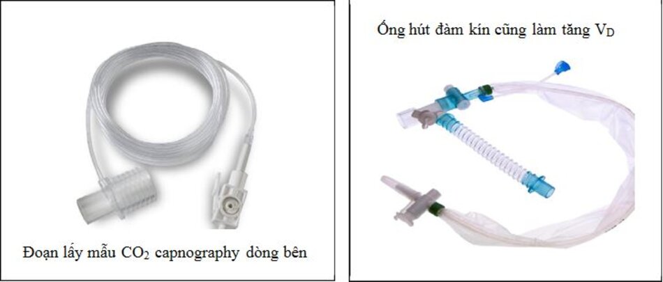 Đoạn lấy mẫu CO2 capnography và ống hút đàm kín cũng làm tăng VD