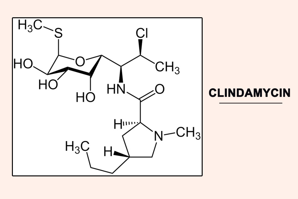 Cấu trúc hóa học của Clindamycin