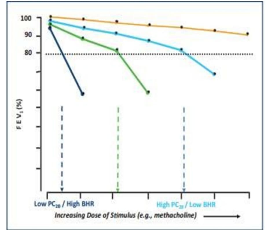 Hình 2-2: Sơ đồ biểu diễn các kích thích phế quản ở bốn chất khác nhau. Phản ứng (về sự thay đổi FEV1 tính theo phần trăm theo đường cơ bản) đối với việc tăng liều kích thích phế quản như chất methacholine được cho là chất mà không tăng phản ứng phế quản (đường cong màu cam) và 3 chất biểu hiện mức độ tăng phản ứng phế quản khác nhau. Phản ứng nhanh nhất (với PC20 thấp nhất) được hiển thị bằng màu xanh đậm; phản ứng kém nhất (với PC20 cao nhất) được hiển thị bằng màu xanh nhạt. BHR = tăng phản ứng phế quản; PC20 = nồng độ methacholine kích thích gây ra giảm 20% so với đường cơ bản trong FEV1. Các đường thẳng đứt nét đánh dấu phép ngoại suy dọc theo các đường cong đến liều methacholine gây ra giảm 20% trong FEV1 từ đường cơ sở. (Lưu ý: FEV1 ban đầu trong tất cả các chất được đặt ở mức 100%; các dấu chấm cho thấy FEV1 ban đầu chỉ được tách riêng để rõ hình ảnh.)