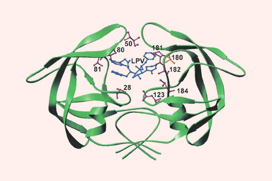 Lopinavir liên kết với protease của HIV - 1