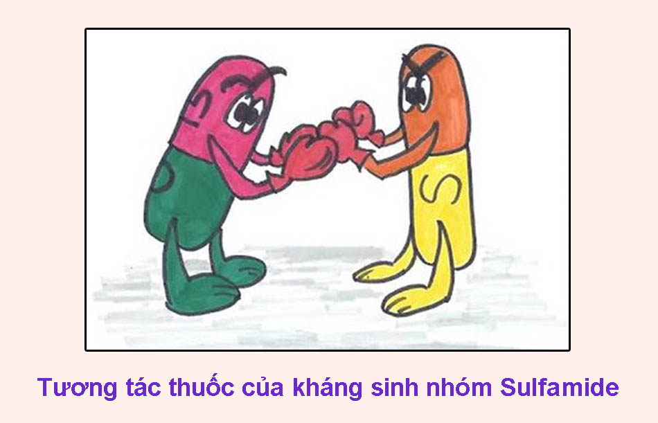 Tương tác thuốc của kháng sinh nhóm Sulfamide