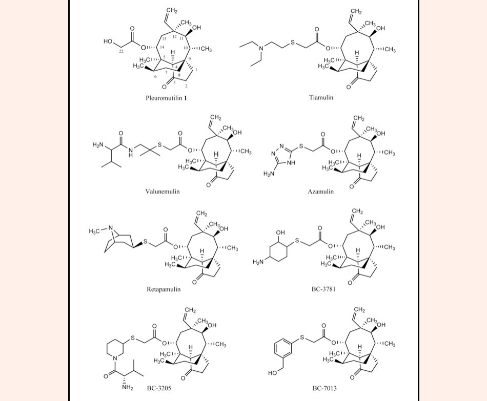 Cấu trúc hóa học của các kháng sinh nhóm Pleuromutilin