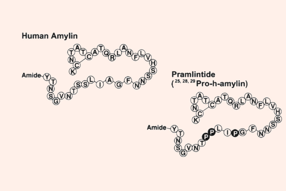 Cấu trúc hóa học của amylin và Pramlintide