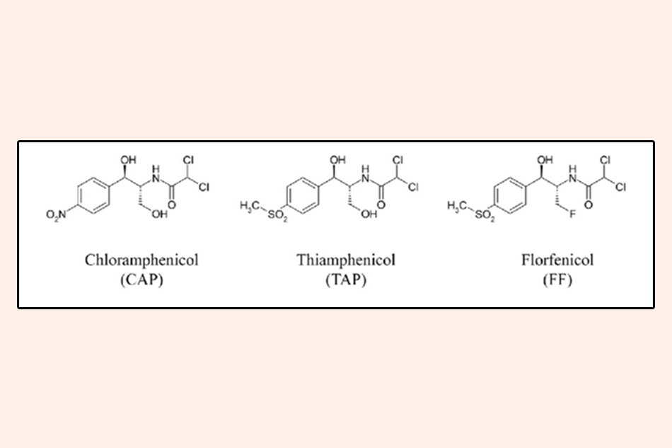 Cấu trúc hóa học của Chloramphenicol, Thiamphenicol và Florfenicol