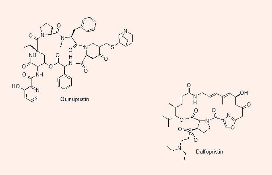 Cấu trúc hóa học của Quinupristin và Dalfopristin