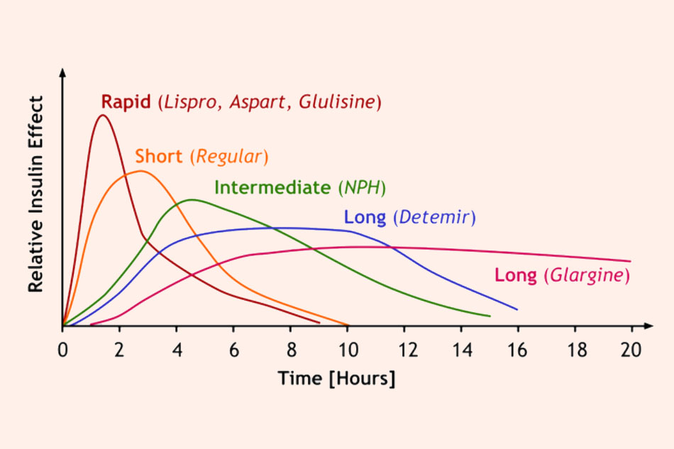 Minh họa cường độ và thời gian tác dụng của một số loại Insulin