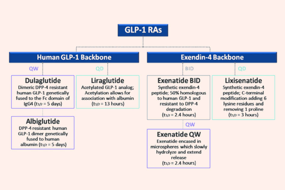Tần suất dùng thuốc của một số thuốc chủ vận thụ thể GLP-1