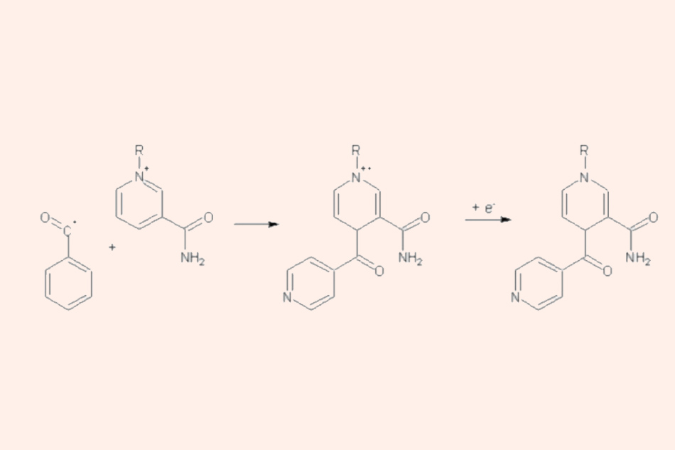 Sự hình thành của phức hợp Isoniazid-NAD(P)+ bằng phản ứng giữa gốc isonicotinoyl với NAD(P)+