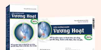 Viên xương khớp Vương Hoạt