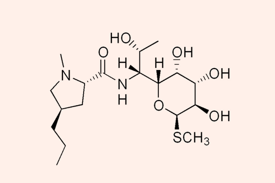 Ảnh. Cấu trúc hóa học của các Lincosamide.